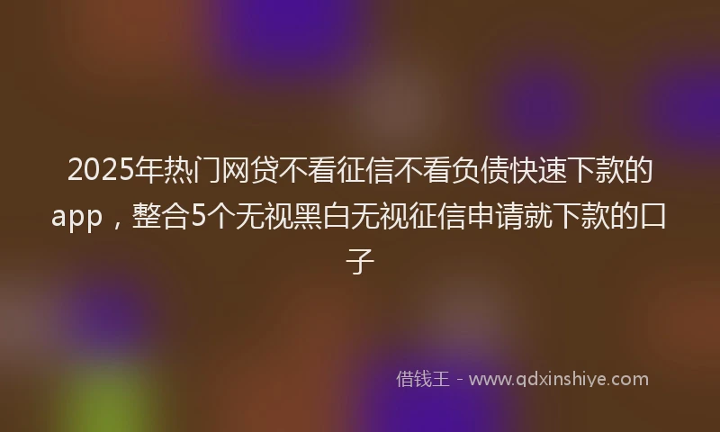 2025年热门网贷不看征信不看负债快速下款的app，整合5个无视黑白无视征信申请就下款的口子