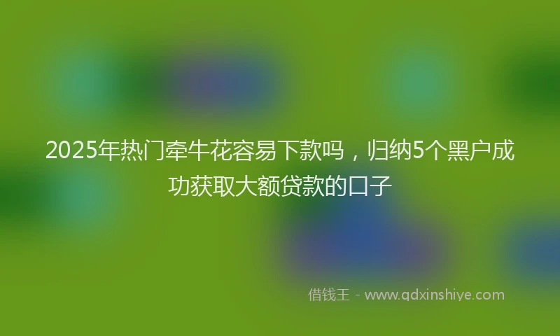 2025年热门牵牛花容易下款吗，归纳5个黑户成功获取大额贷款的口子
