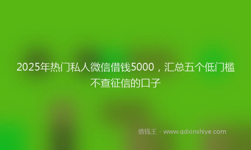 2025年热门私人微信借钱5000，汇总五个低门槛不查征信的口子