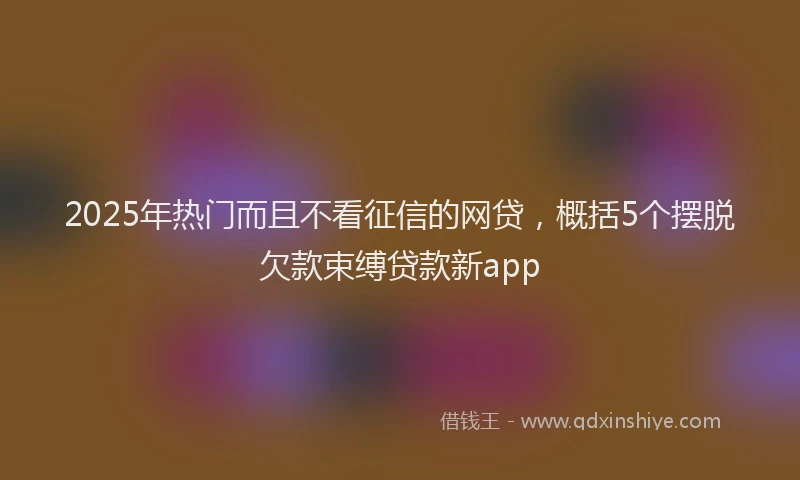 2025年热门而且不看征信的网贷，概括5个摆脱欠款束缚贷款新app