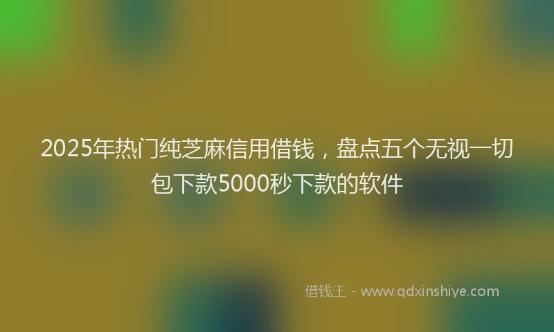 2025年热门纯芝麻信用借钱，盘点五个无视一切包下款5000秒下款的软件