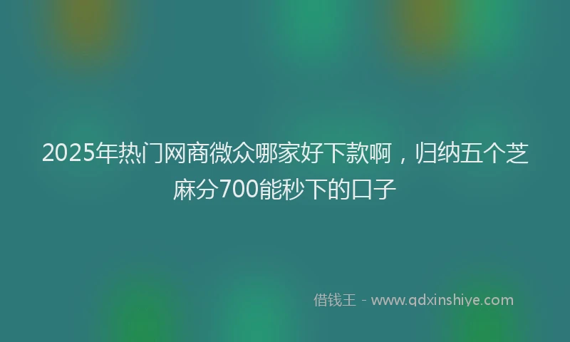 2025年热门网商微众哪家好下款啊,归纳五个芝麻分700能秒下的口子