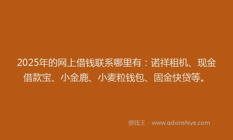 2025年的网上借钱联系哪里有：诺祥租机、现金借款宝、小金鹿、小麦粒钱包、固金快贷等。