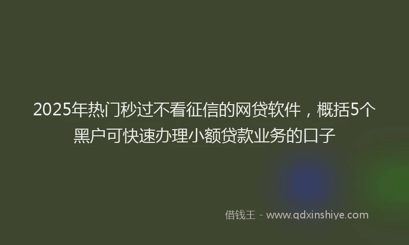 2025年热门秒过不看征信的网贷软件，概括5个黑户可快速办理小额贷款业务的口子
