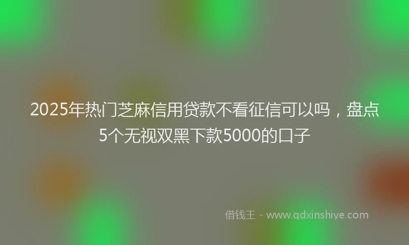 2025年热门芝麻信用贷款不看征信可以吗，盘点5个无视双黑下款5000的口子