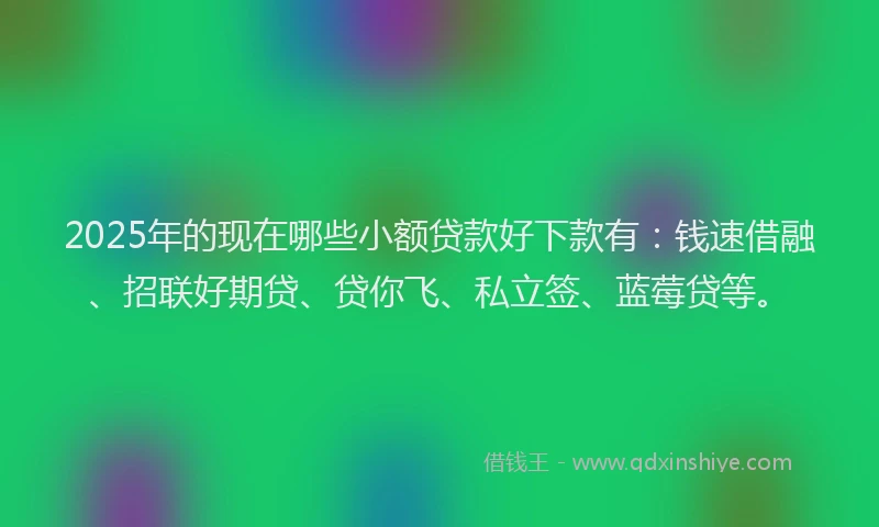 2025年的现在哪些小额贷款好下款有：钱速借融、招联好期贷、贷你飞、私立签、蓝莓贷等。