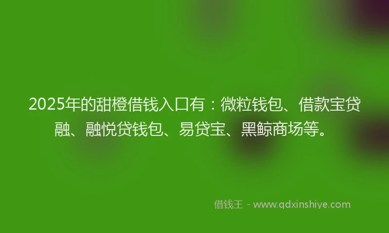 2025年的甜橙借钱入口有：微粒钱包、借款宝贷融、融悦贷钱包、易贷宝、黑鲸商场等。