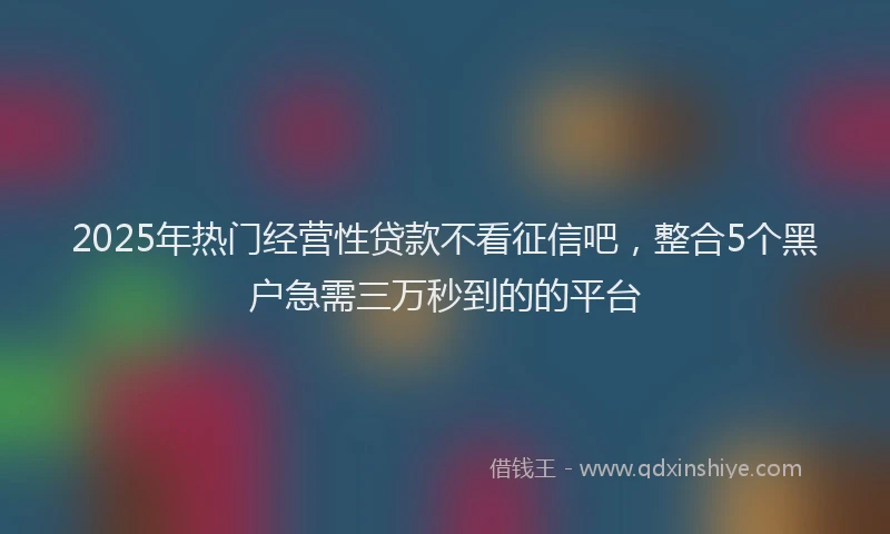 2025年热门经营性贷款不看征信吧,整合5个黑户急需三万秒到的的平台