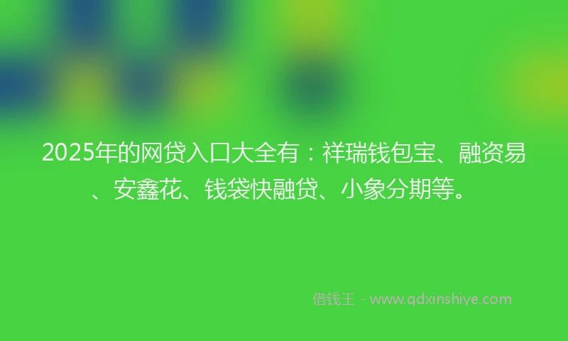 2025年的网贷入口大全有：祥瑞钱包宝、融资易、安鑫花、钱袋快融贷、小象分期等。