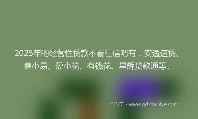 2025年的经营性贷款不看征信吧有:安逸速贷、鹅小易、盈小花、有钱花、星辉贷款通等。
