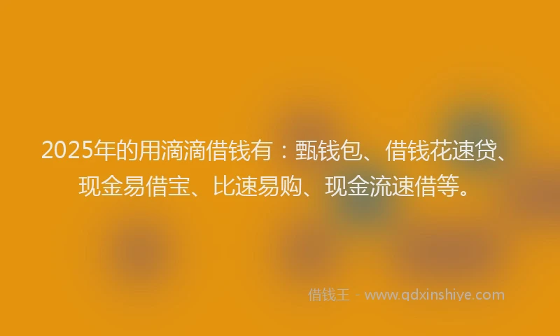 2025年的用滴滴借钱有：甄钱包、借钱花速贷、现金易借宝、比速易购、现金流速借等。