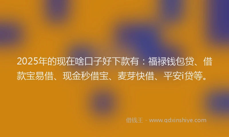 2025年的现在啥口子好下款有：福禄钱包贷、借款宝易借、现金秒借宝、麦芽快借、平安i贷等。