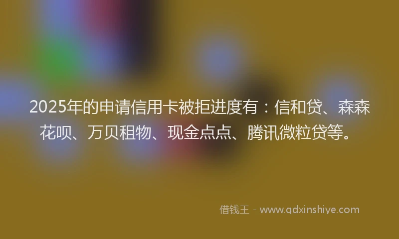 2025年的申请信用卡被拒进度有:信和贷、森森花呗、万贝租物、现金点点、腾讯微粒贷等。