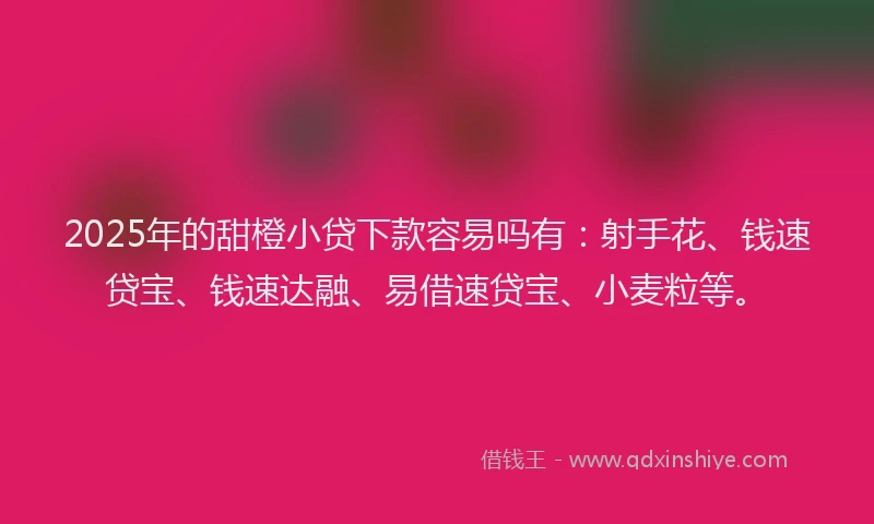 2025年的甜橙小贷下款容易吗有：射手花、钱速贷宝、钱速达融、易借速贷宝、小麦粒等。