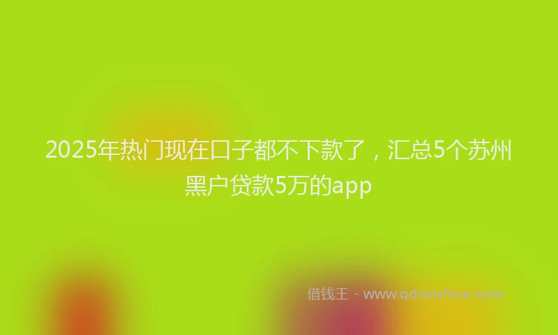 2025年热门现在口子都不下款了，汇总5个苏州黑户贷款5万的app
