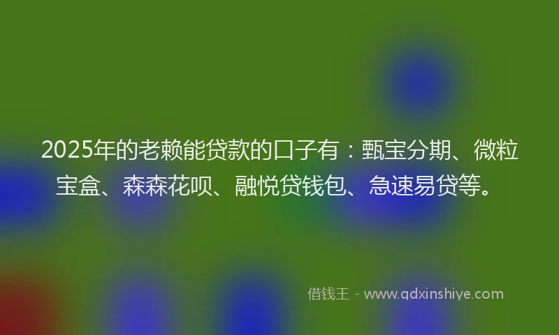 2025年的老赖能贷款的口子有：甄宝分期、微粒宝盒、森森花呗、融悦贷钱包、急速易贷等。