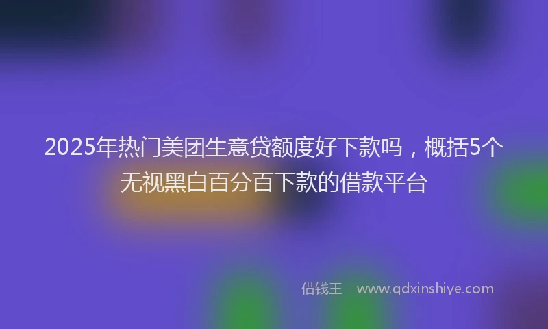 2025年热门美团生意贷额度好下款吗，概括5个无视黑白百分百下款的借款平台