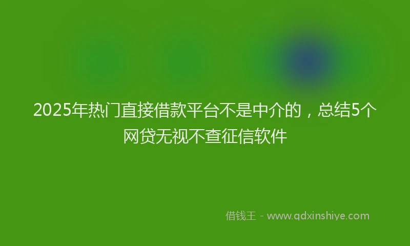 2025年热门直接借款平台不是中介的，总结5个网贷无视不查征信软件