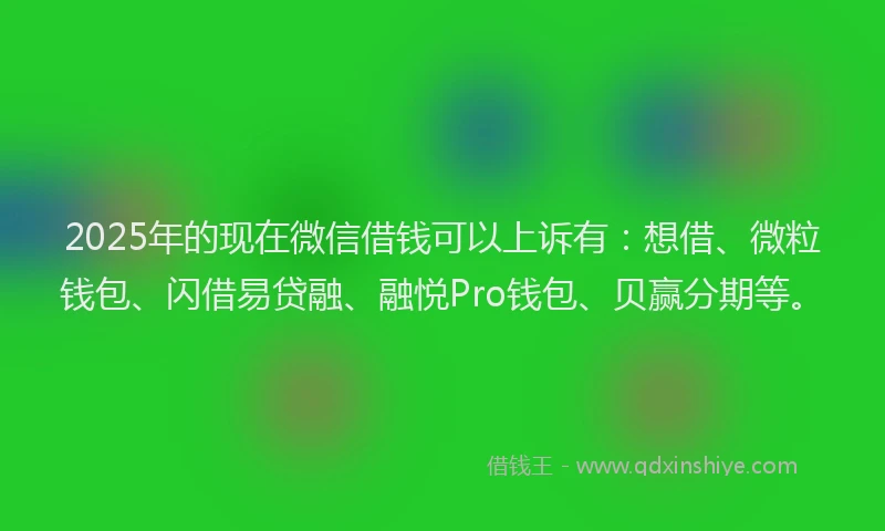 2025年的现在微信借钱可以上诉有：想借、微粒钱包、闪借易贷融、融悦Pro钱包、贝赢分期等。