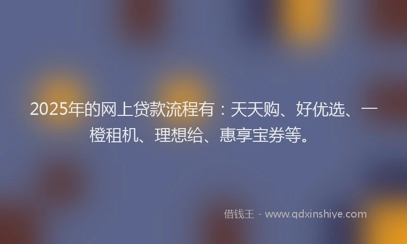2025年的网上贷款流程有：天天购、好优选、一橙租机、理想给、惠享宝券等。