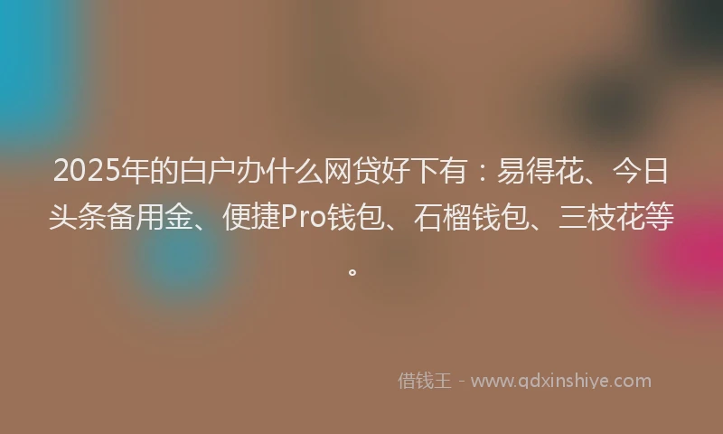 2025年的白户办什么网贷好下有：易得花、今日头条备用金、便捷Pro钱包、石榴钱包、三枝花等。