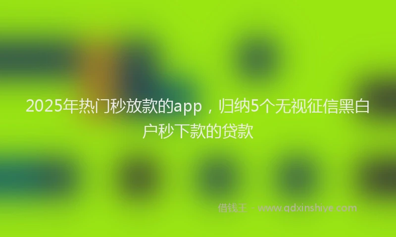2025年热门秒放款的app,归纳5个无视征信黑白户秒下款的贷款