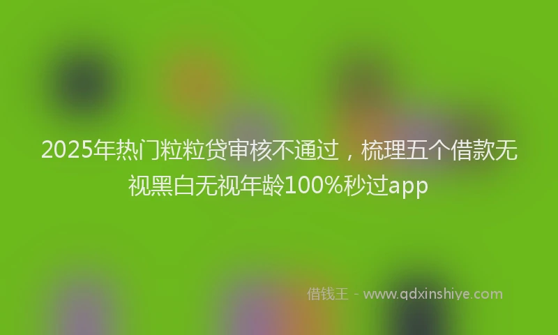 2025年热门粒粒贷审核不通过，梳理五个借款无视黑白无视年龄100%秒过app