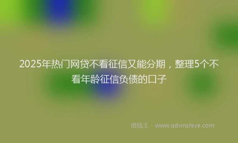 2025年热门网贷不看征信又能分期，整理5个不看年龄征信负债的口子