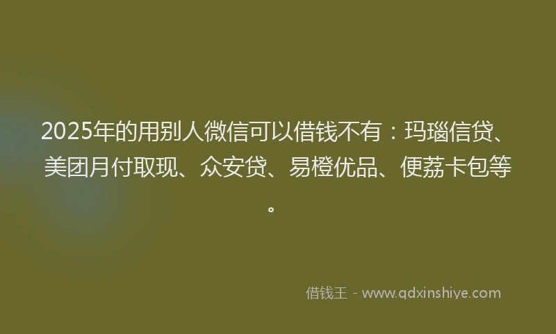 2025年的用别人微信可以借钱不有：玛瑙信贷、美团月付取现、众安贷、易橙优品、便荔卡包等。
