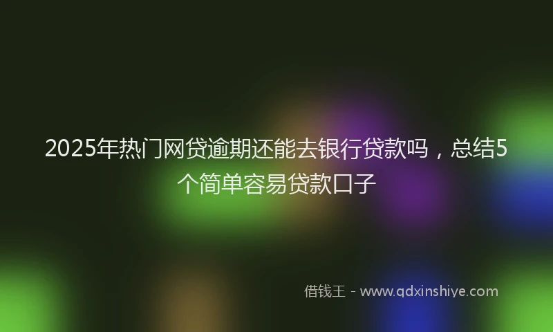 2025年热门网贷逾期还能去银行贷款吗，总结5个简单容易贷款口子
