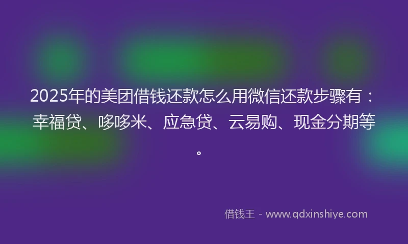 2025年的美团借钱还款怎么用微信还款步骤有：幸福贷、哆哆米、应急贷、云易购、现金分期等。