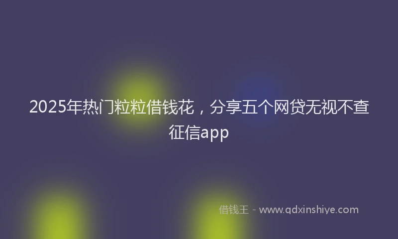 2025年热门粒粒借钱花，分享五个网贷无视不查征信app