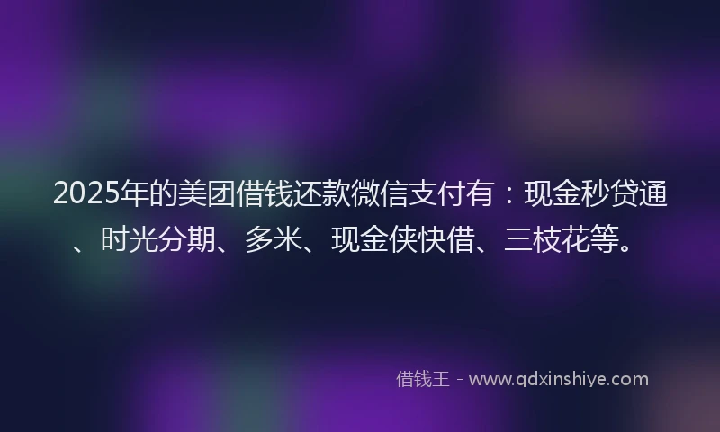 2025年的美团借钱还款微信支付有：现金秒贷通、时光分期、多米、现金侠快借、三枝花等。