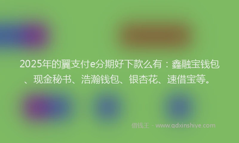 2025年的翼支付e分期好下款么有:鑫融宝钱包、现金秘书、浩瀚钱包、银杏花、速借宝等。