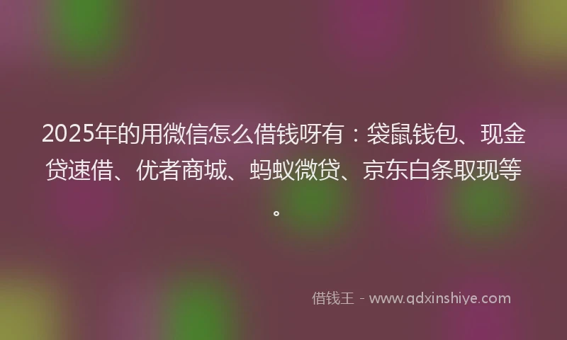 2025年的用微信怎么借钱呀有：袋鼠钱包、现金贷速借、优者商城、蚂蚁微贷、京东白条取现等。