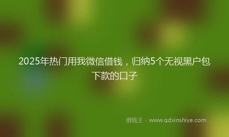 2025年热门用我微信借钱,归纳5个无视黑户包下款的口子
