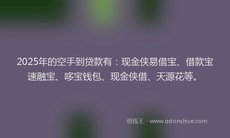 2025年的空手到贷款有:现金侠易借宝、借款宝速融宝、哆宝钱包、现金侠借、天源花等。