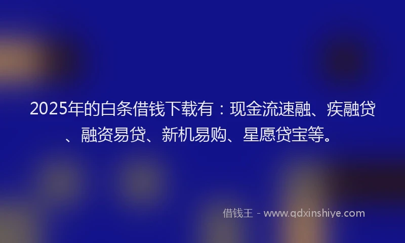 2025年的白条借钱下载有：现金流速融、疾融贷、融资易贷、新机易购、星愿贷宝等。