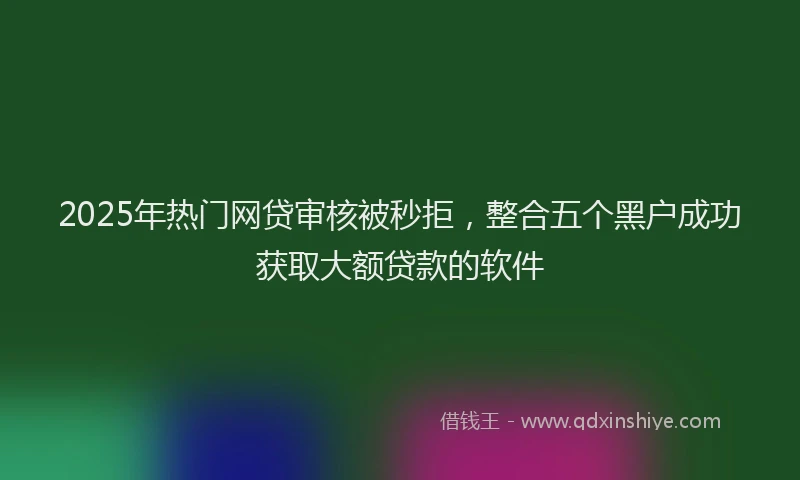 2025年热门网贷审核被秒拒,整合五个黑户成功获取大额贷款的软件