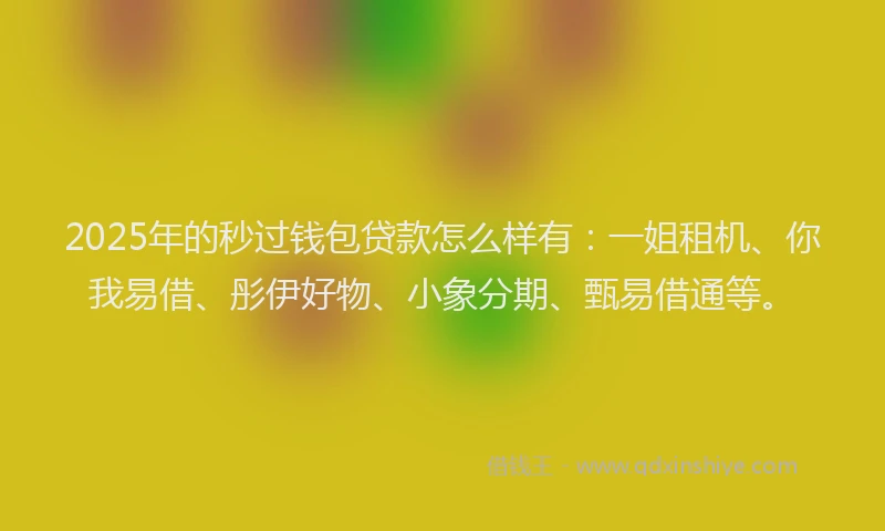 2025年的秒过钱包贷款怎么样有：一姐租机、你我易借、彤伊好物、小象分期、甄易借通等。