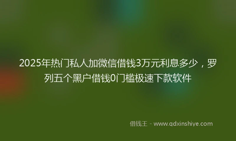 2025年热门私人加微信借钱3万元利息多少，罗列五个黑户借钱0门槛极速下款软件