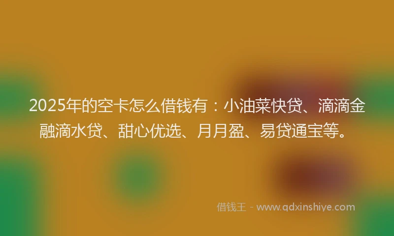 2025年的空卡怎么借钱有:小油菜快贷、滴滴金融滴水贷、甜心优选、月月盈、易贷通宝等。