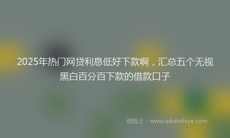 2025年热门网贷利息低好下款啊，汇总五个无视黑白百分百下款的借款口子