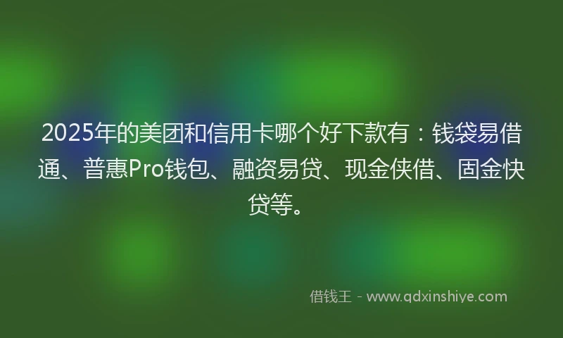 2025年的美团和信用卡哪个好下款有：钱袋易借通、普惠Pro钱包、融资易贷、现金侠借、固金快贷等。
