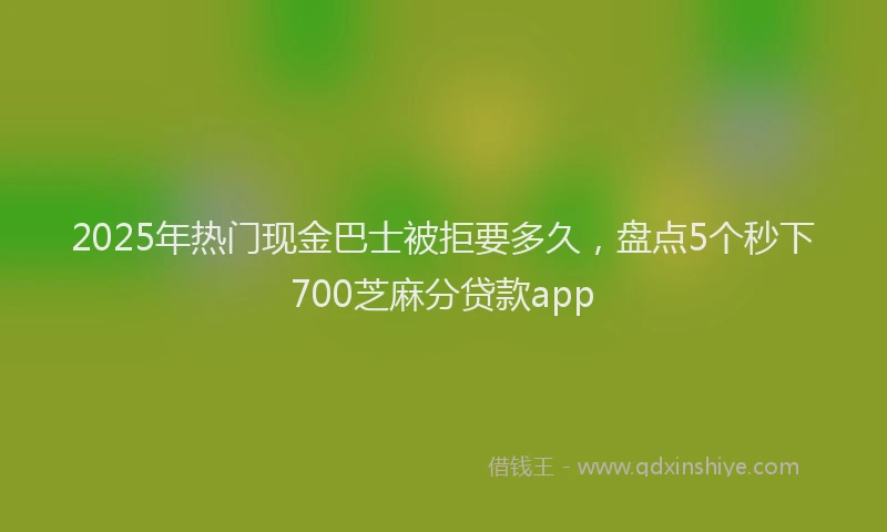 2025年热门现金巴士被拒要多久，盘点5个秒下700芝麻分贷款app