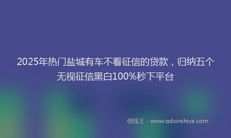 2025年热门盐城有车不看征信的贷款，归纳五个无视征信黑白100%秒下平台