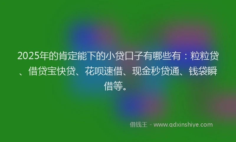 2025年的肯定能下的小贷口子有哪些有:粒粒贷、借贷宝快贷、花呗速借、现金秒贷通、钱袋瞬借等。