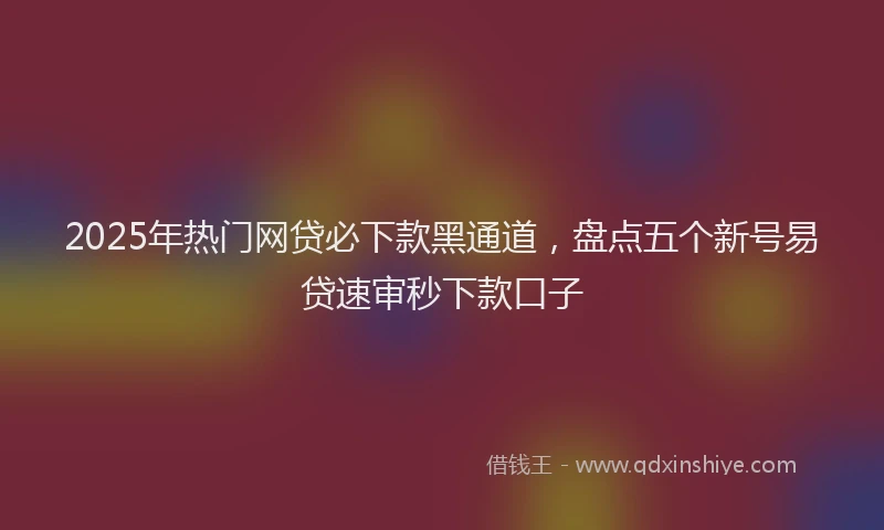 2025年热门网贷必下款黑通道，盘点五个新号易贷速审秒下款口子