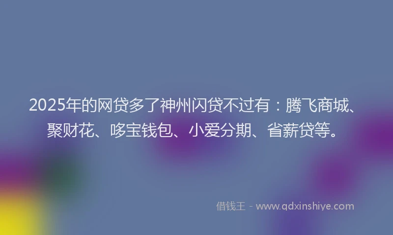 2025年的网贷多了神州闪贷不过有:腾飞商城、聚财花、哆宝钱包、小爱分期、省薪贷等。