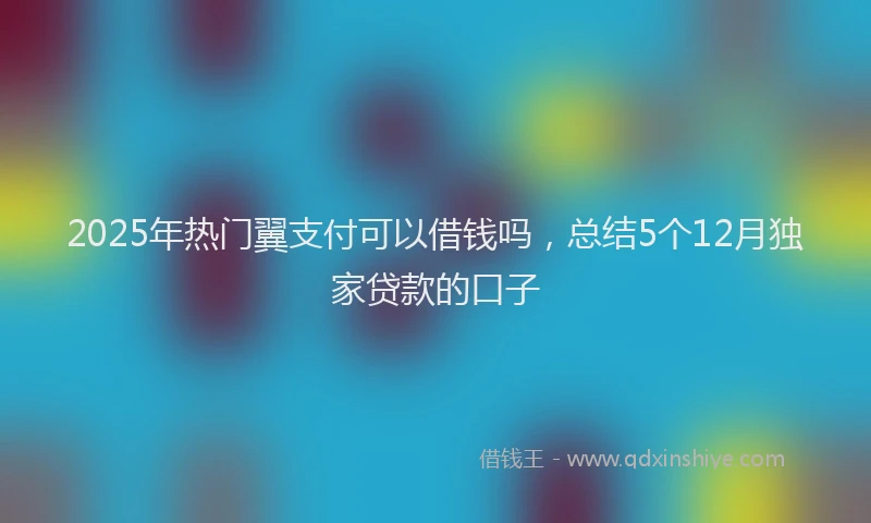 2025年热门翼支付可以借钱吗，总结5个12月独家贷款的口子